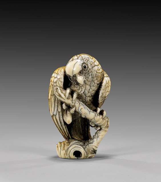 CARVED IVORY NETSUKE: Parrot: 象牙根付 CARVED IVORY NETSUKE: Parrot Charming and finely detailed carved, ivory netsuke; of a parrot perched on a branch, with inlaid eyes and finely patinated, signed