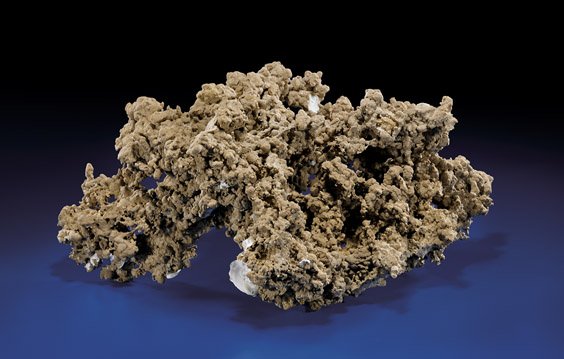 FINE DOLOMITE CONCRETION: FINE DOLOMITE CONCRETIONEoceneInglis limestone, Levy Co, FloridaThis fantastical natural sculpture is the result of silt-laden water seeping into the apertures in the Inglis limestone of Florida. A re