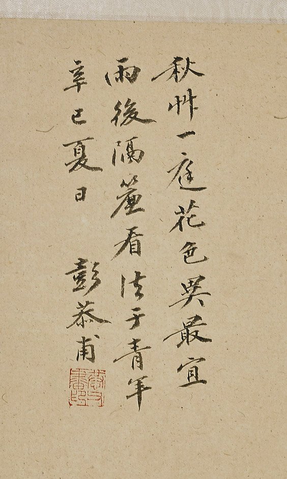 Chinese Paper Scroll: Flowering Plant - 2