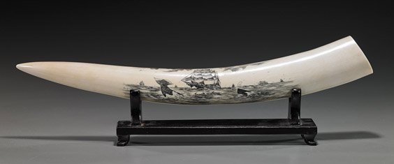 Old & Finely Scrimmed Small Ivory Tusk: Old & Finely Scrimmed Small Ivory Tusk Old and very finely scrimmed, small ivory tusk; with detailed design of whaling scenes front and back, with whales and vessels, signed An Yue Ghan(?); L: 18 1/2"