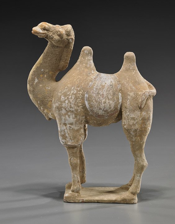 Chinese Tang Dynasty Pottery Bactrian Camel: Chinese Tang Dynasty Pottery Bactrian Camel Chinese Tang Dynasty well-modeled pottery Bactrian camel; standing four square on a rectangular plinth and with head raised, some original slip remaining (t