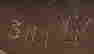 item-21243027=2