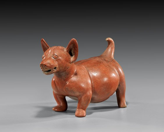 PRE-COLUMBIAN REDWARE POTTERY DOG: 前哥倫布陶犬 PRE-COLUMBIAN REDWARE POTTERY DOGLarge and finely modeled, West Coast Mexican Pre-Columbian (Colima) redware pottery model; of a rotund dog standing fo