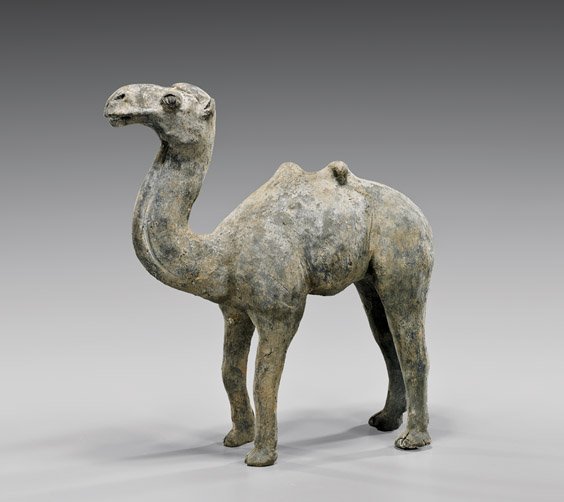 HAN DYNASTY POTTERY CAMEL: 陶駱駝俑 HAN DYNASTY POTTERY CAMEL Chinese Han Dynasty pottery model; of a Bactrian camel with calm countenance and standing four-square; H: 13 1/2"; Provenance: from the Colle