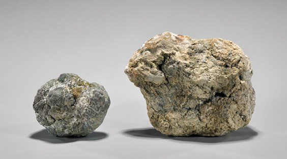 COMPLETE FOSSIL COPROLITE PAIR (1 of 1)