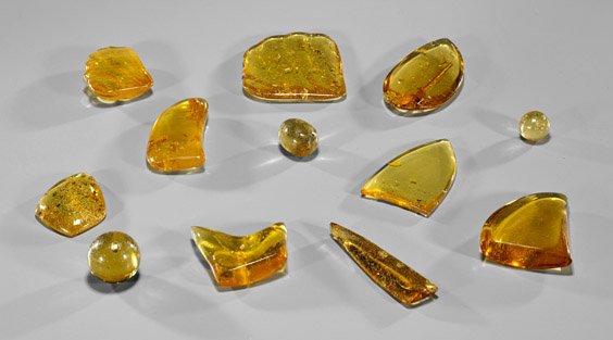 Twelve Polished Colombian Copals: Twelve Polished Colombian Copals Collection of twelve polished Colombian copals; of various shapes and many with natural inclusions, some with iridescence; L: 4 1/2" (tallest)