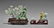 Three Chinese Jadeite Carvings