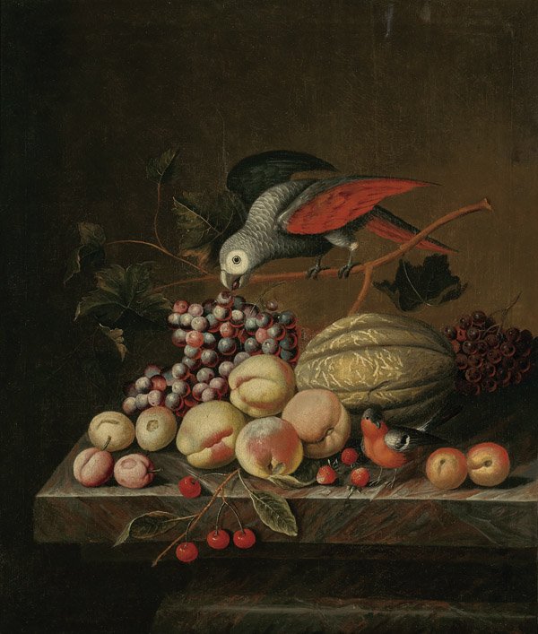 18TH CENTURY MASTER OIL PAINTING: Parrot & Fruit (1 of 1)