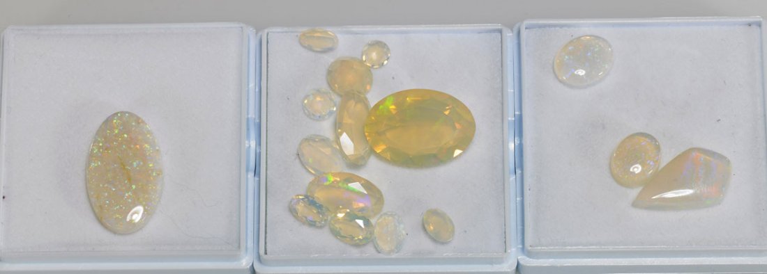Collection of Sixteen Various Opals (1 of 1)