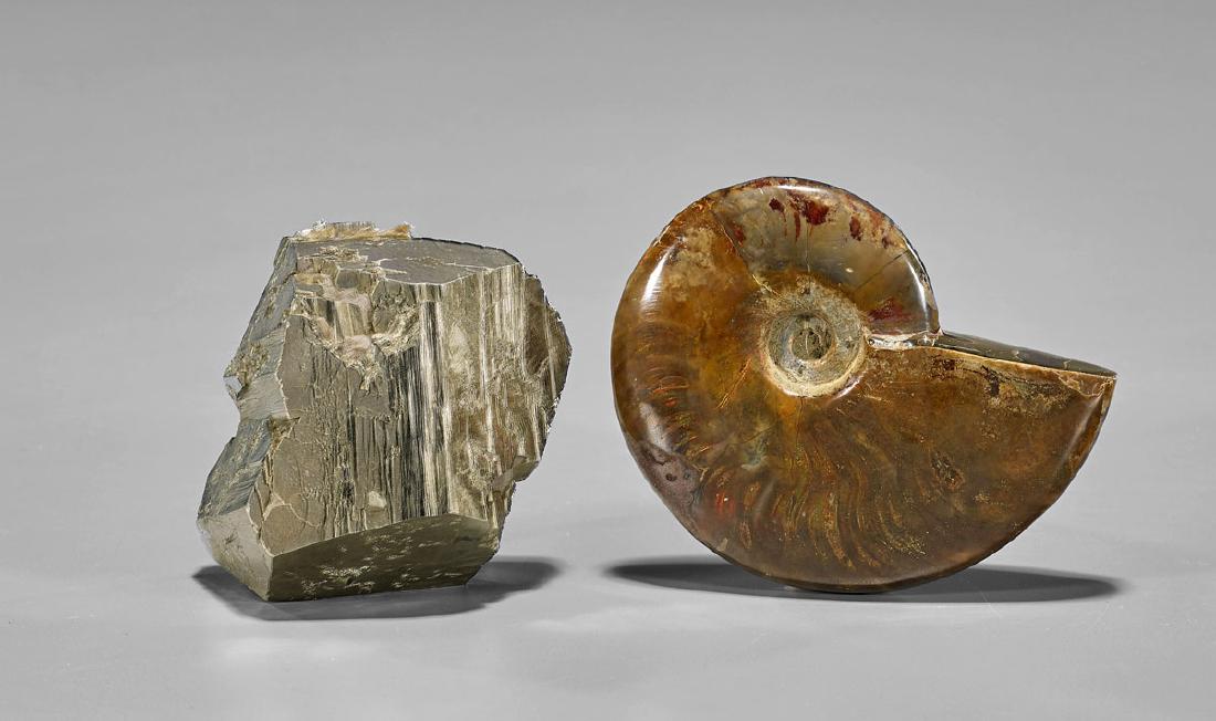 Two Specimens: Pyrite & Ammonite (1 of 1)