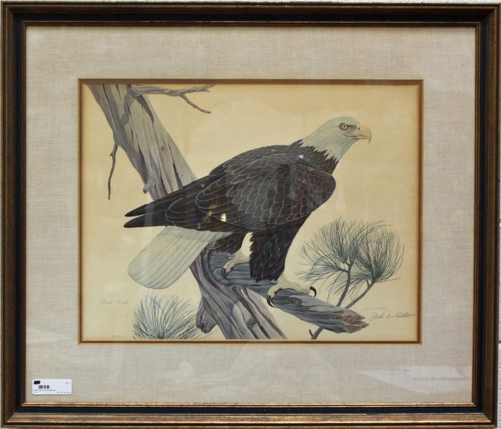 1 Bald Eagle Print by Ruthven