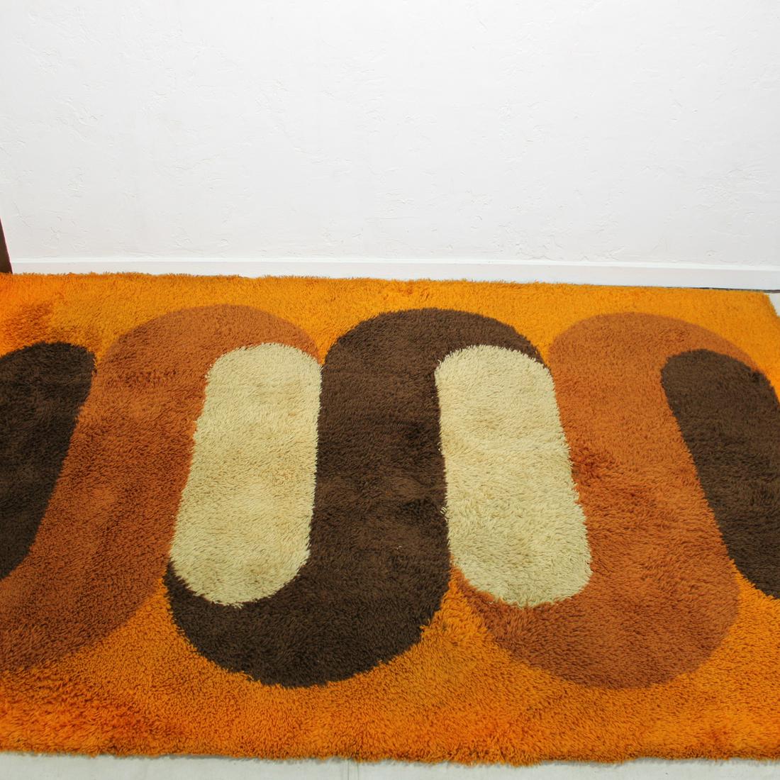 Vintage shag rug with oval pattern (1 of 4)