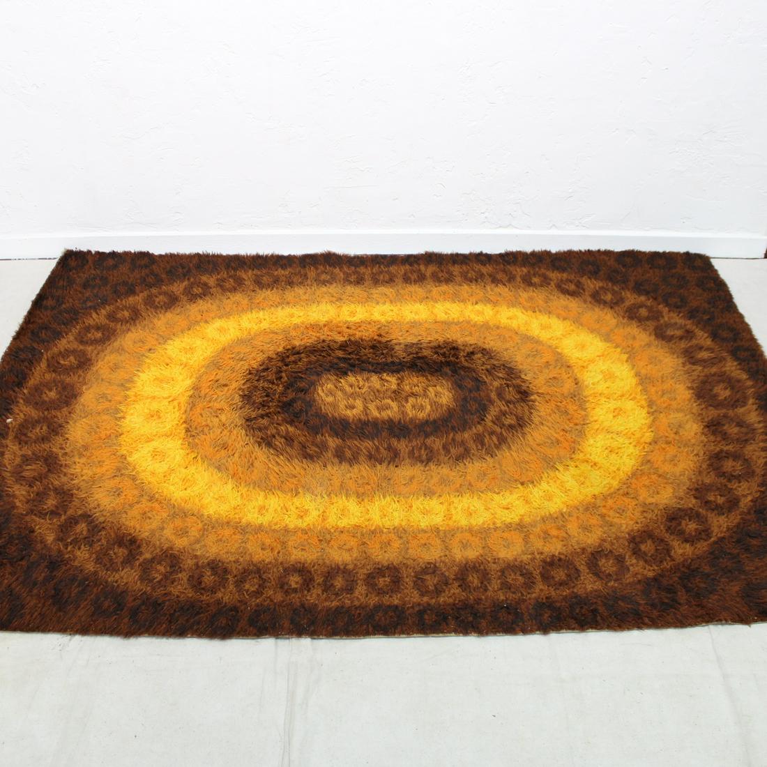 Vintage shag rug with oval pattern (1 of 3)