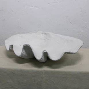 Faux Clam Shell Planter: New item, this is a detailed large faux clam shell planter made of stone. This is not an actual shell.