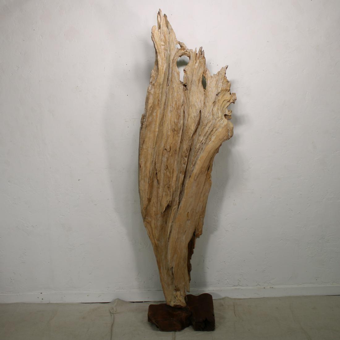 Oversize Teakwood Fragment on Stand (1 of 4)