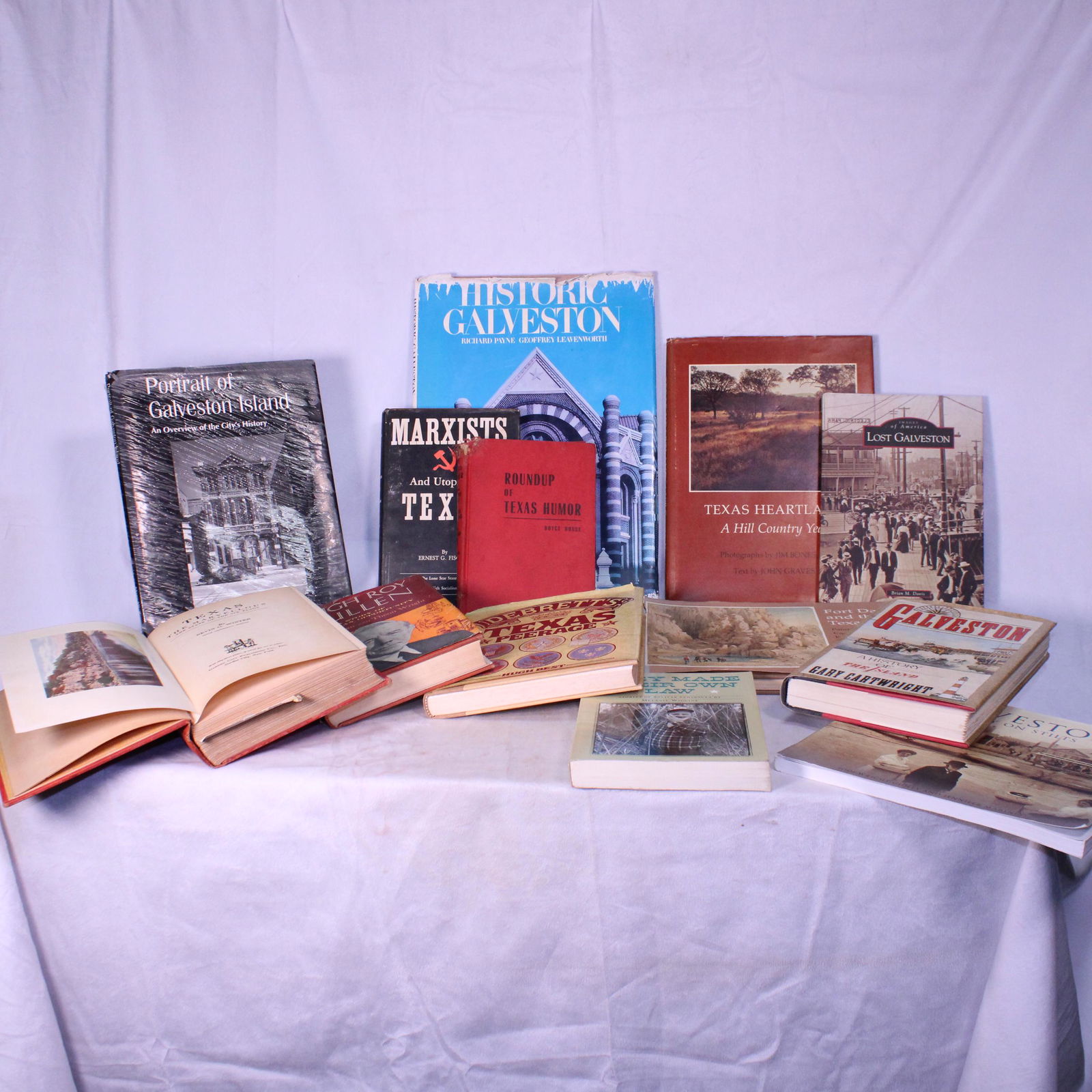 Lot of 13 assorted vintage books on Texas and Galveston (1 of 4)