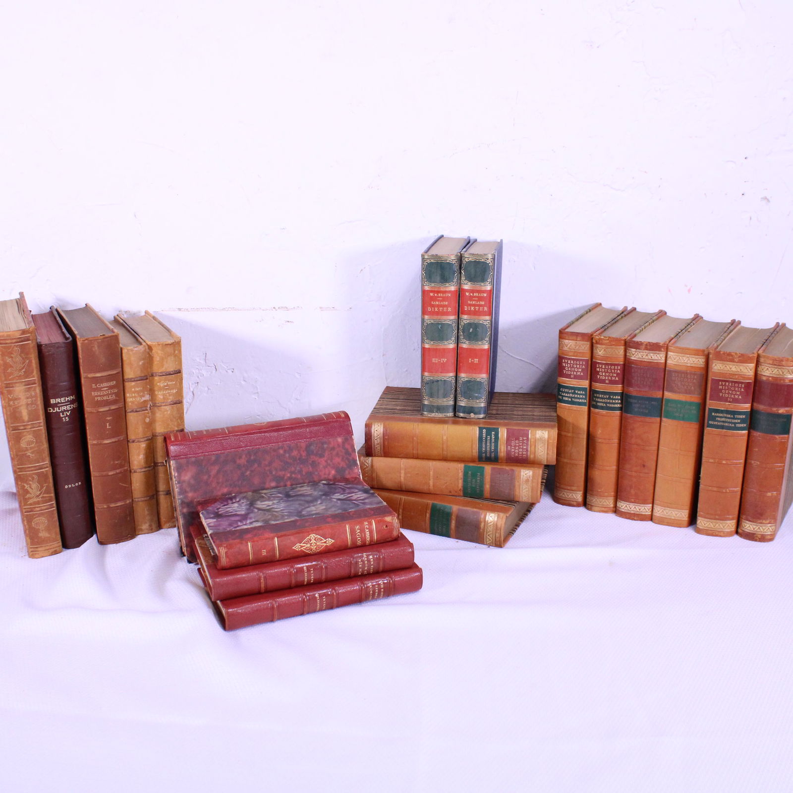 Collection of 20 Vintage European Leather Books #1 (1 of 5)