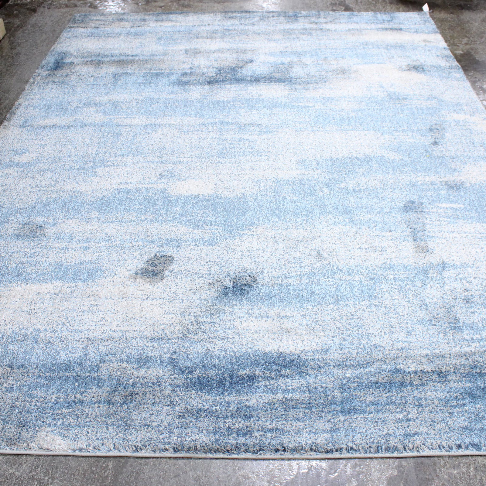 New Rug, Blue & White - 8 ft x 10 ft (1 of 5)