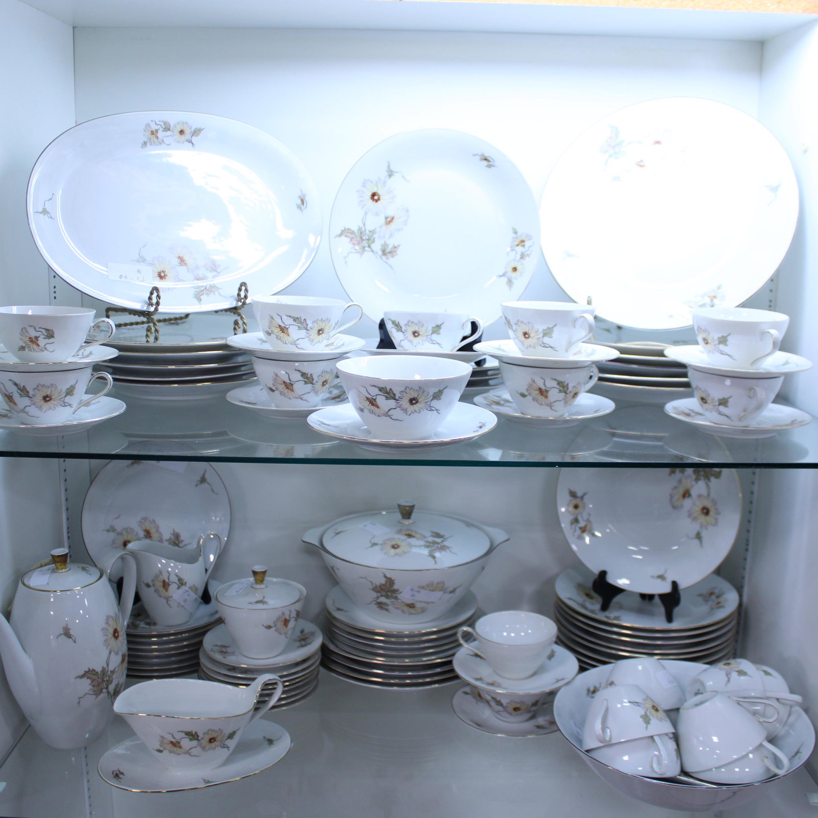 88 Pieces of Bavarian China: 88 Pieces of Bavarian China