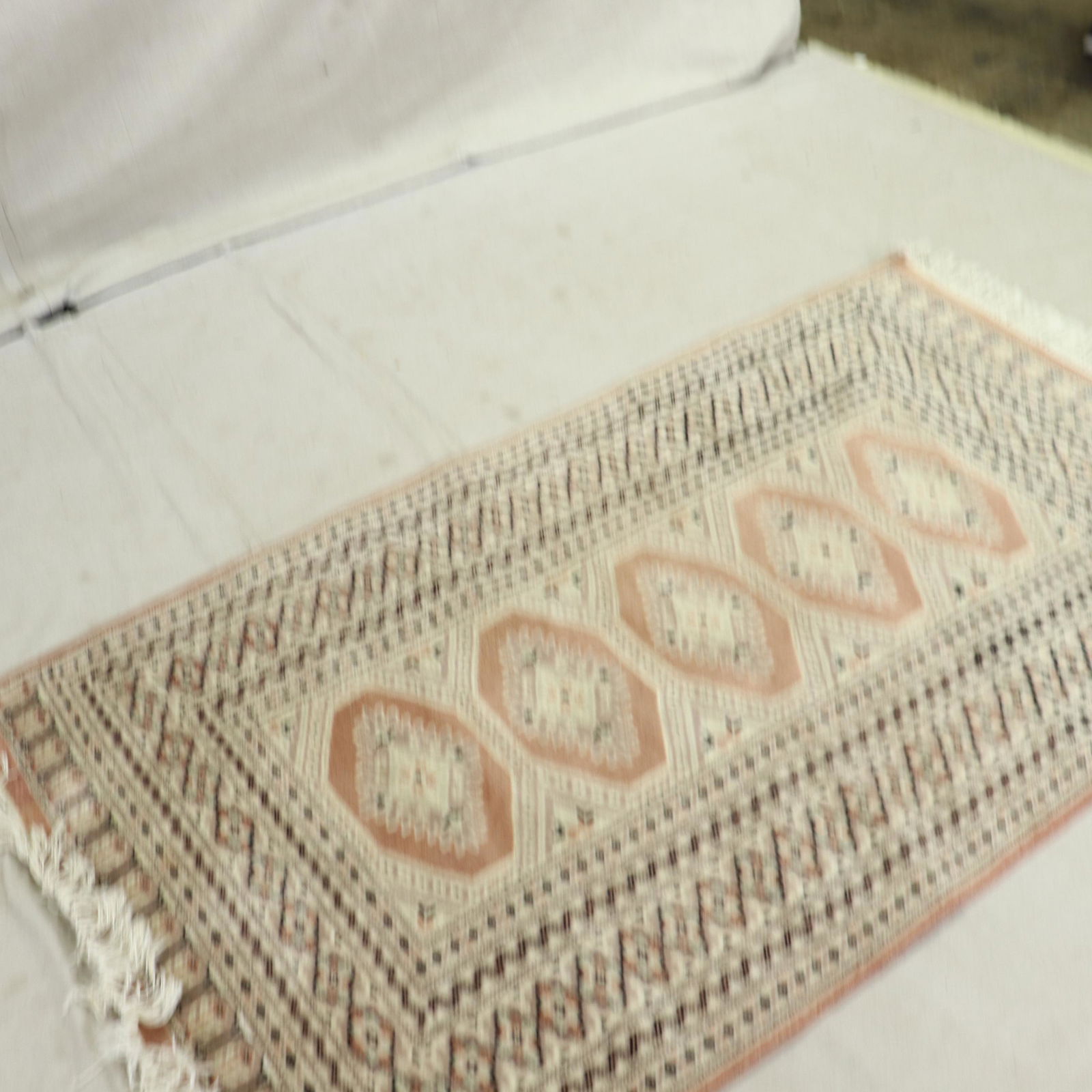 European Tan and White Rug (1 of 4)