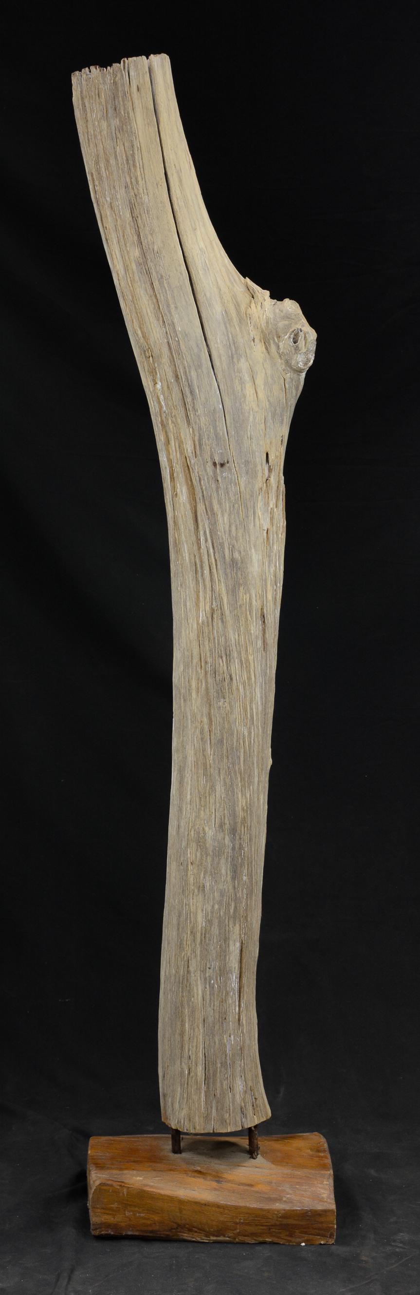 Large Teak Root Sculpture (1 of 3)