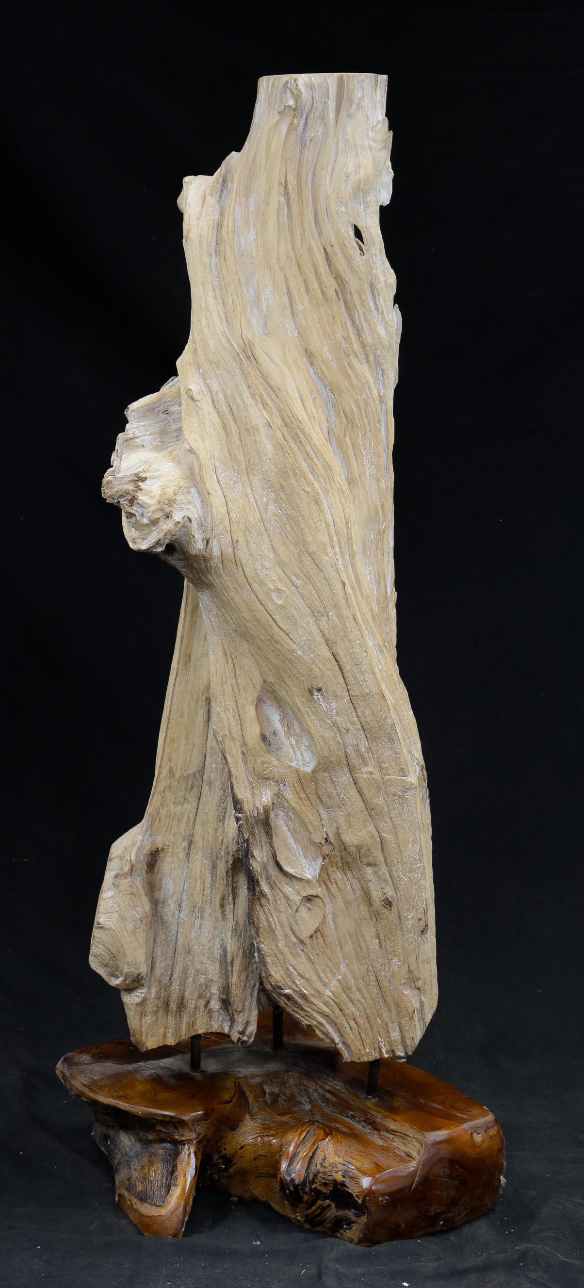 Medium Teak Root Sculpture (1 of 3)