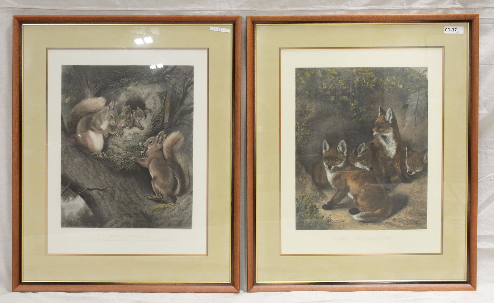 Two Modern Prints Under Glass - Foxes & Squirrels (1 of 5)