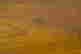 item-93660860=4