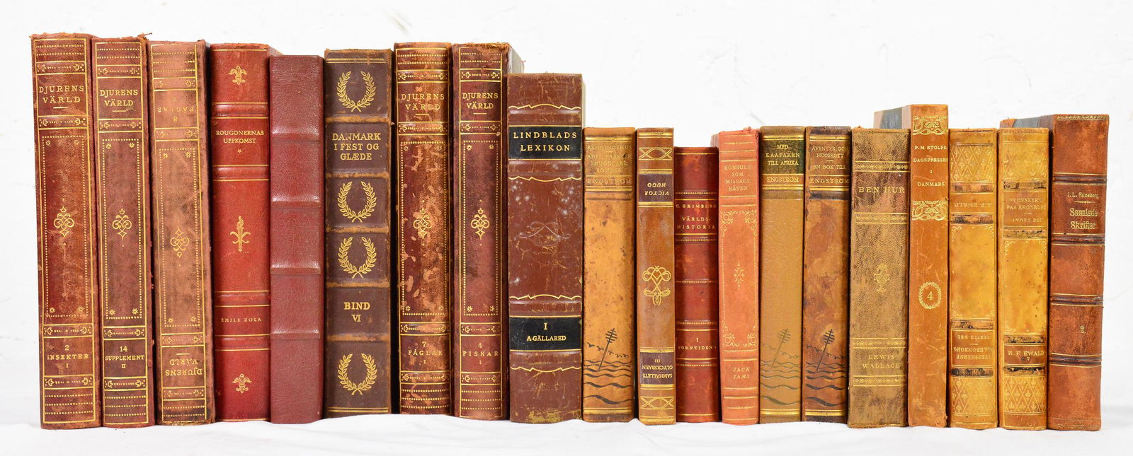 20 Vintage Leather European Books #1 (1 of 4)