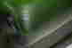 item-97722550=4