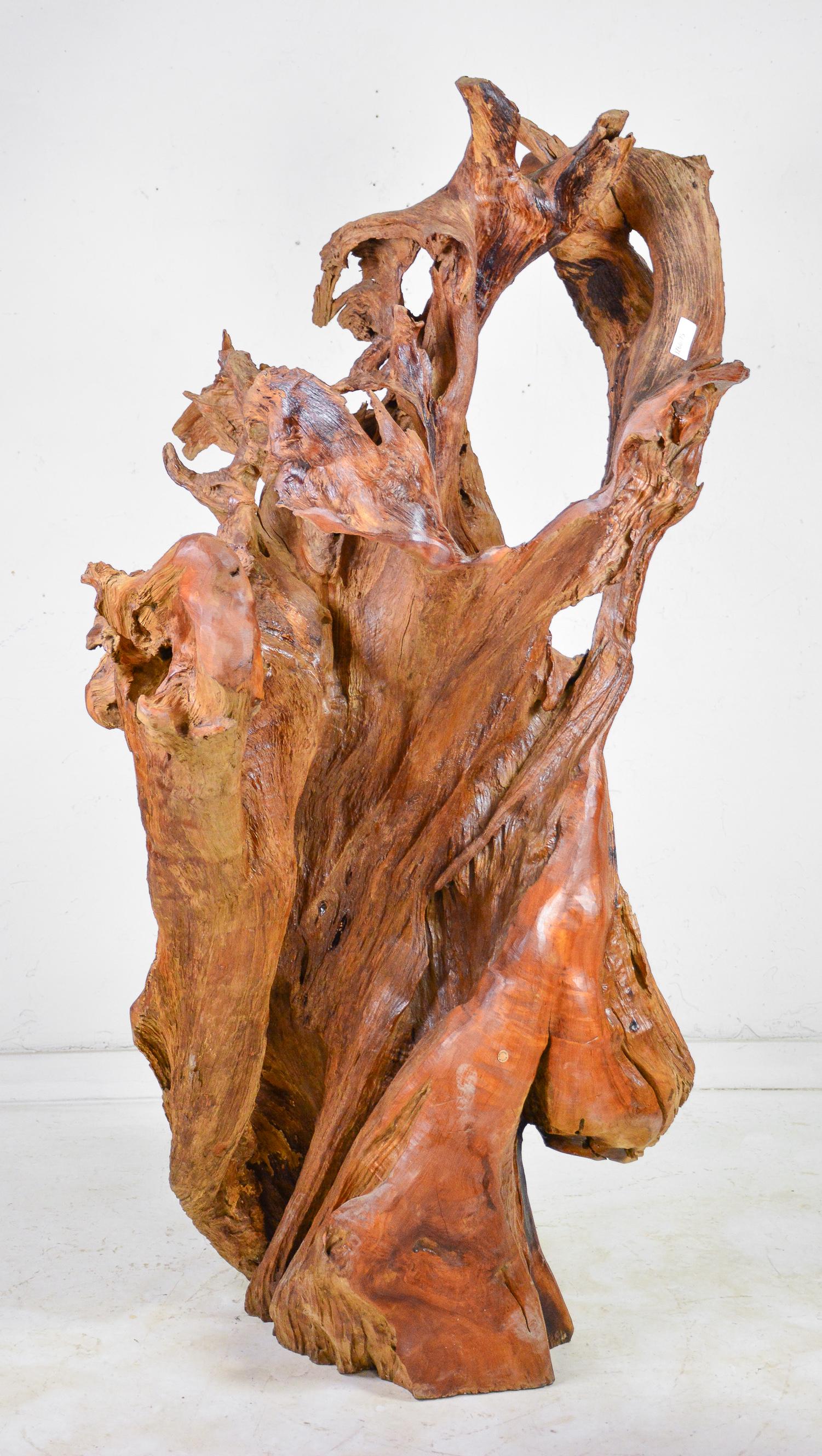Large Teak Root Sculpture (1 of 4)