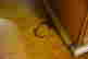 item-98029787=6