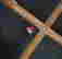 item-100039975=3