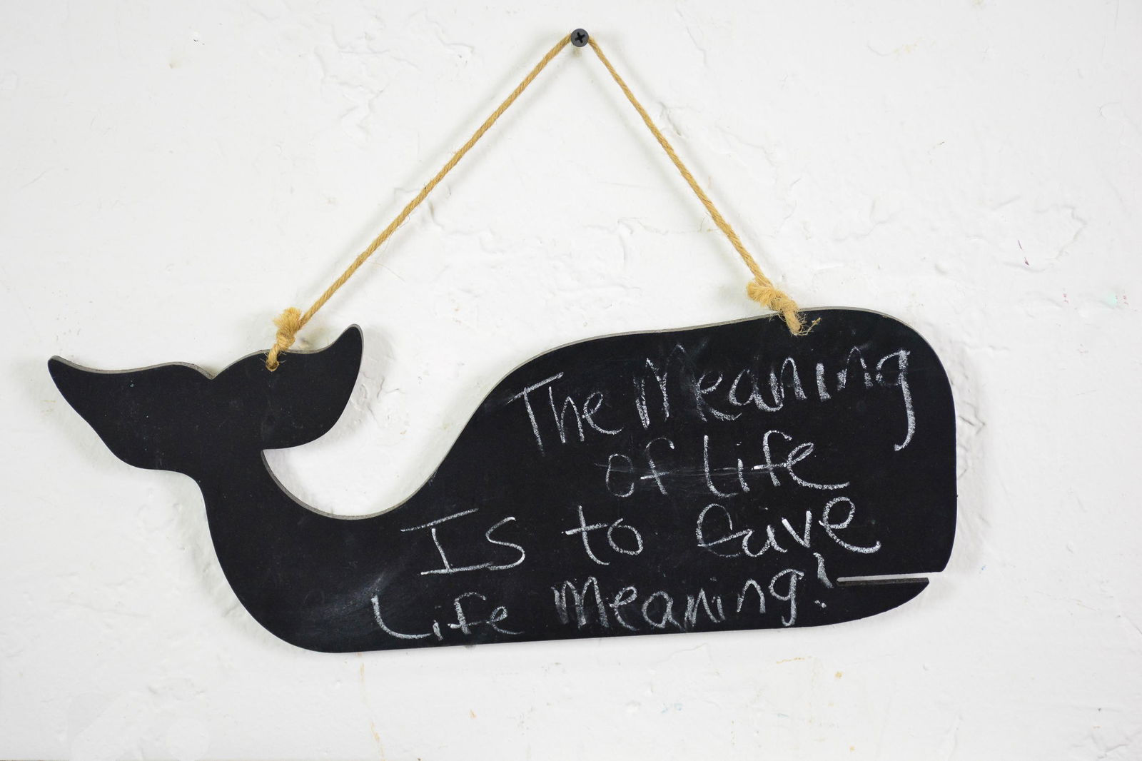 Assorted Collection Of Beach Theme Items (1 of 4)