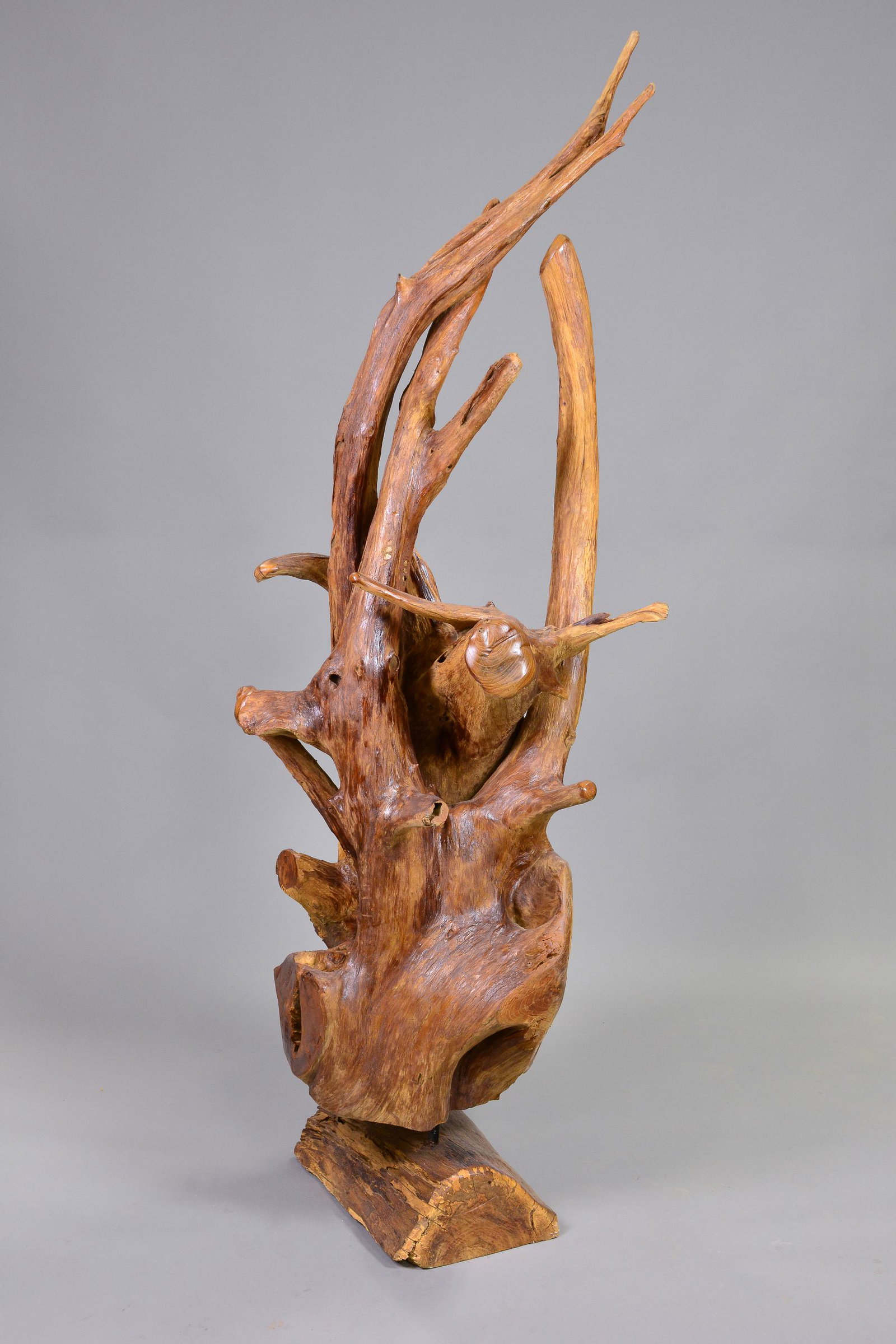 Teak Root Sculpture On Stand #1 (1 of 4)