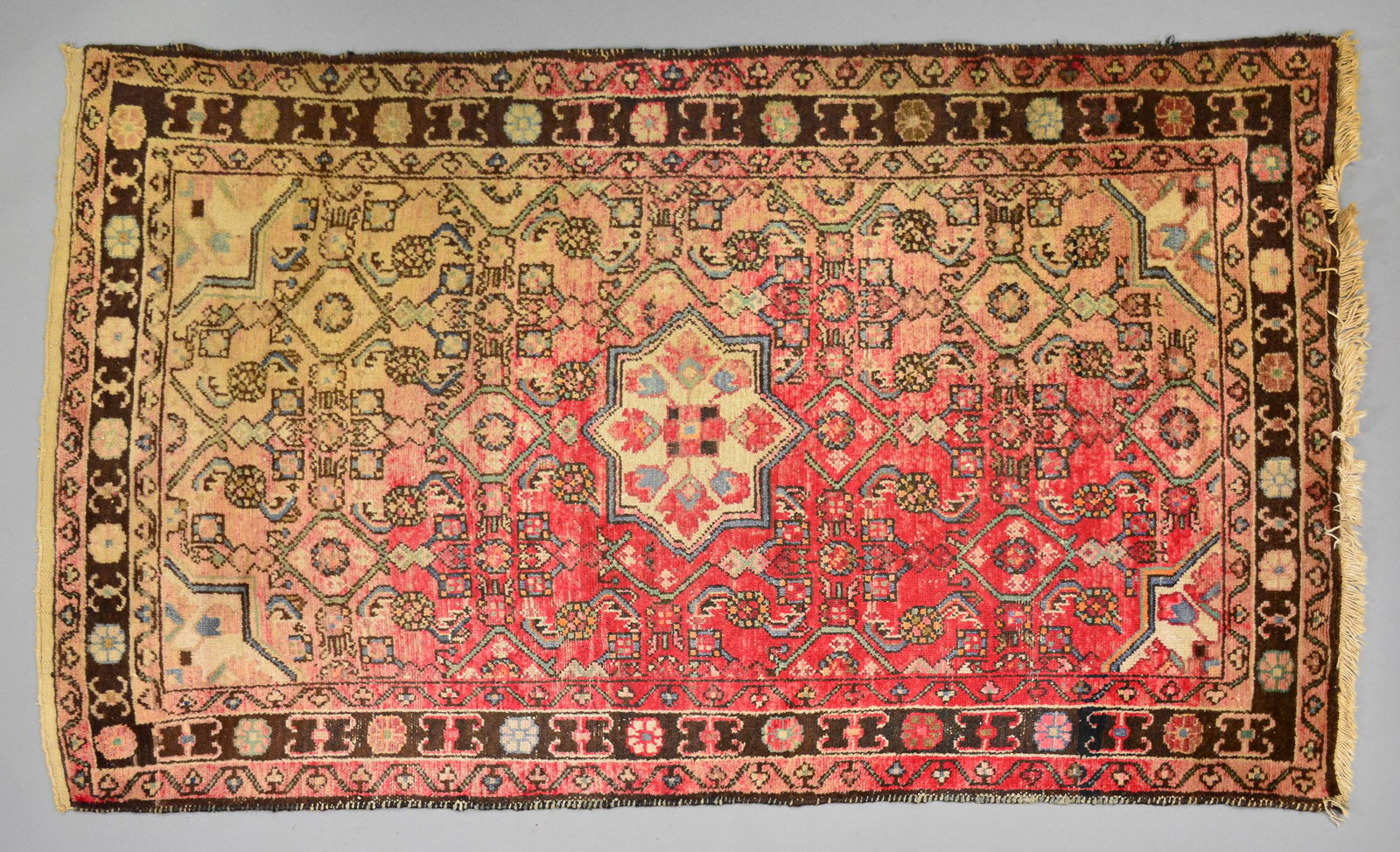 European Hand Knotted Rug - Natural Vegetable Dye (1 of 3)