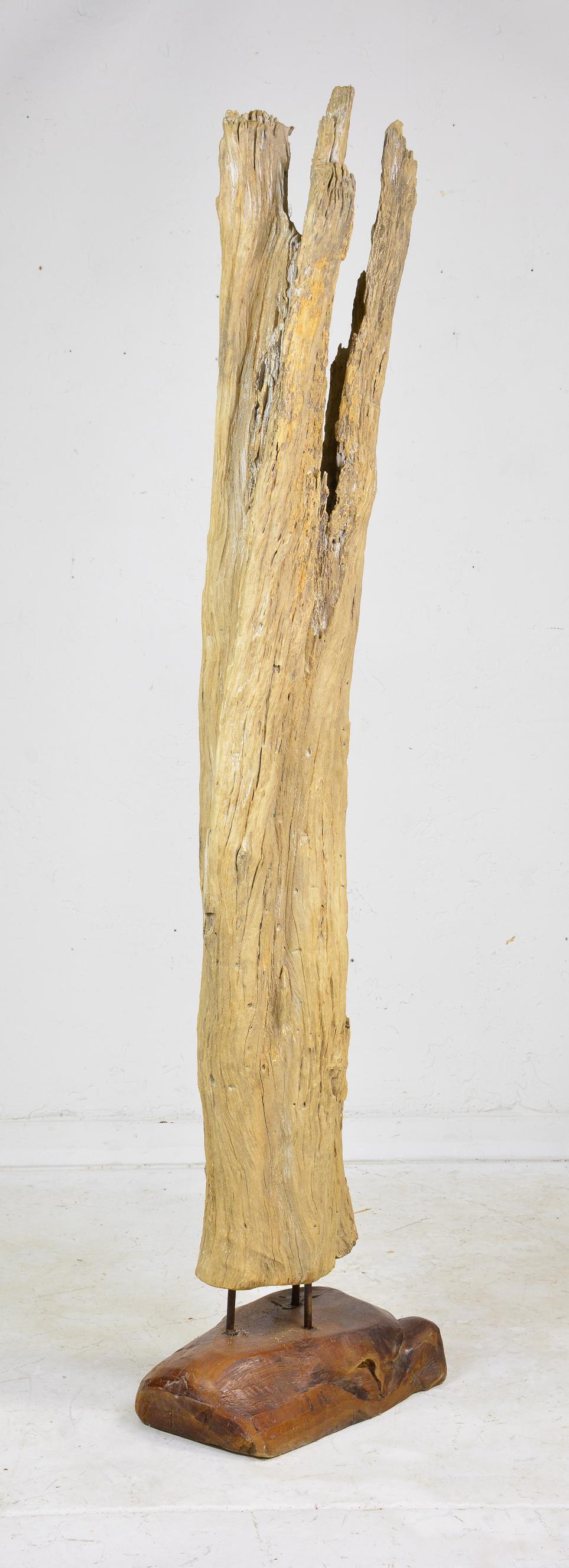 Teak Root wood Fragment on Stand #1 (1 of 3)