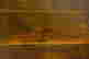 item-112858381=7