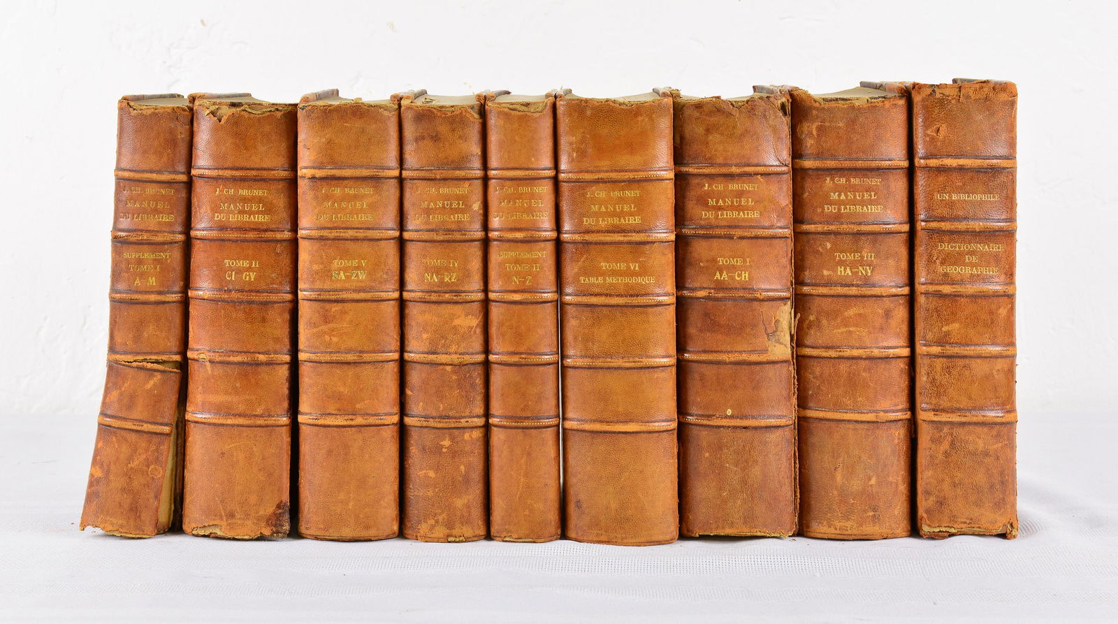 9 Volumes of "The French Dictionary" Leather Bound (1 of 4)