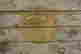 item-116676486=10