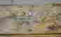 item-116676486=11