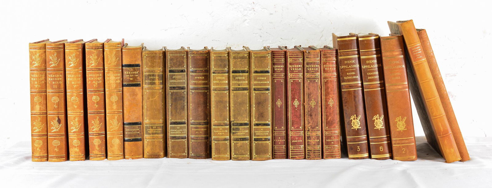 21 Assorted European Leather Books (1 of 5)