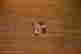 item-117160606=5