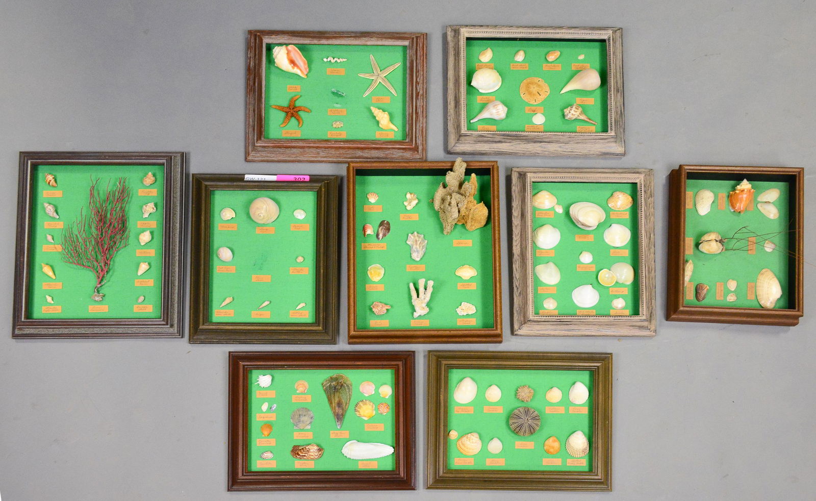 9 Assorted Frames with Shells (1 of 6)