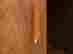 item-120045229=4