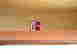 item-120045311=3