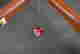 item-120045315=3