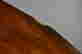 item-120210886=5