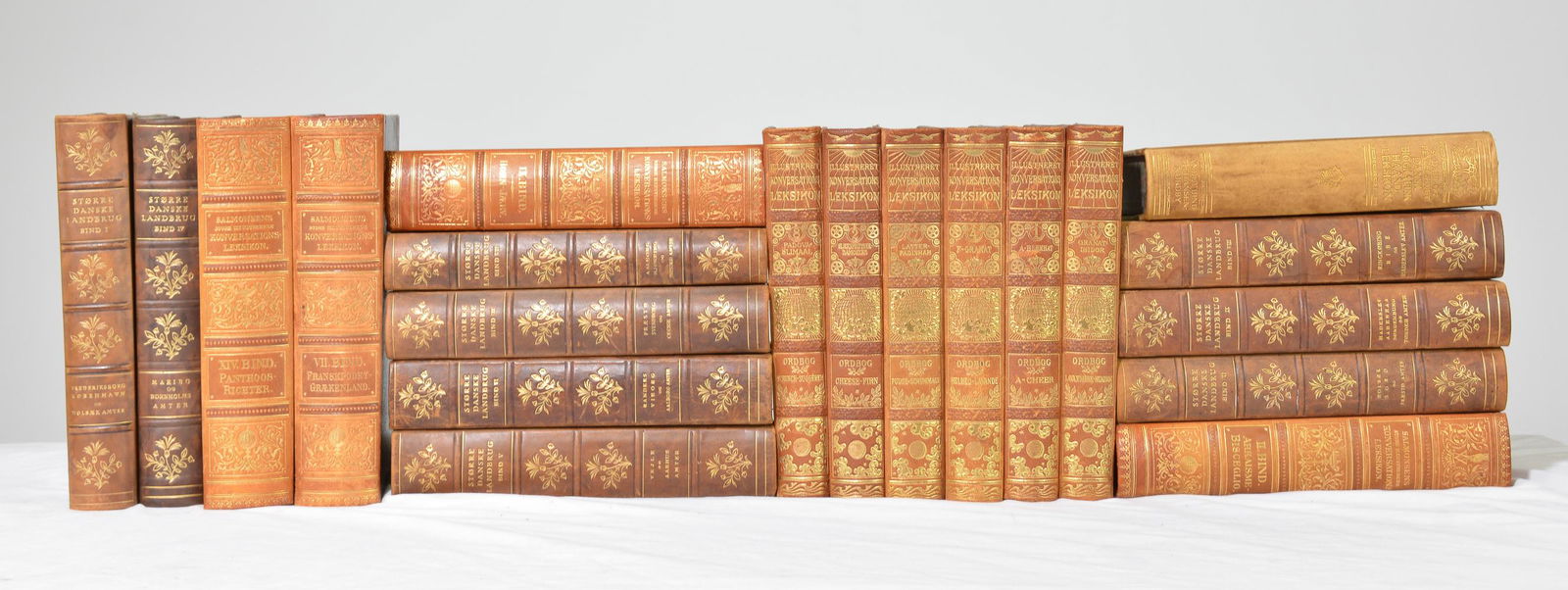 Collection of 20 European Leather Books #1 (1 of 5)