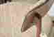 item-124560807=3